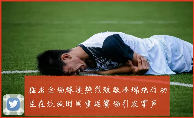 猛龙全场球迷热烈致敬洛瑞绝对功臣在垃圾时间重返赛场引发掌声