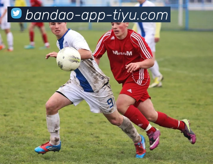 半岛体育平台生态图