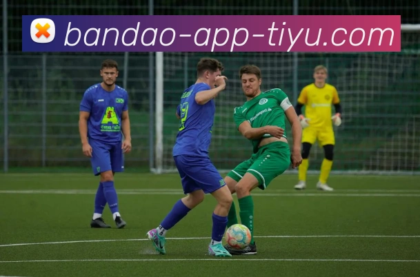 半岛体育全站App